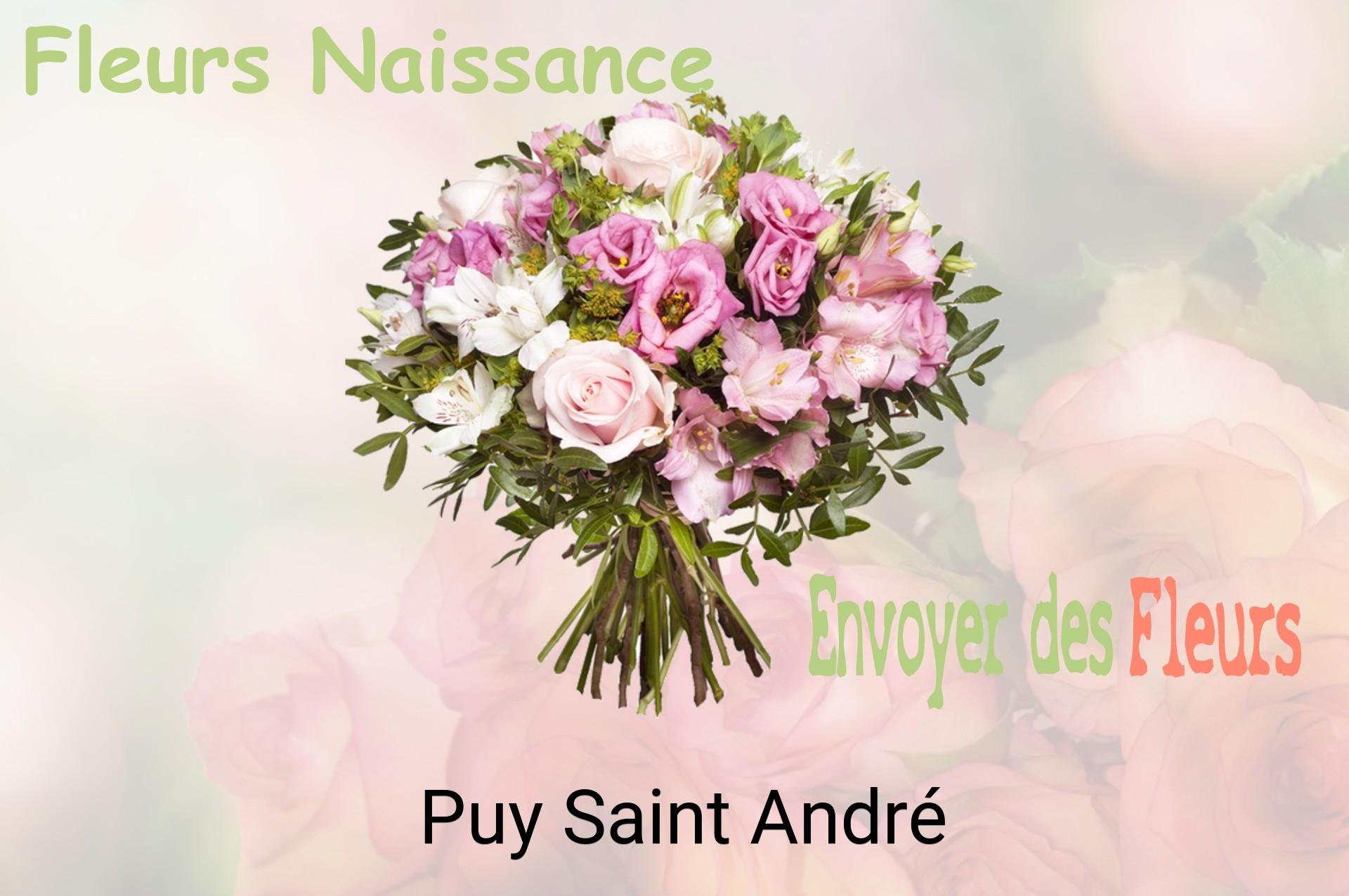 Bouquet de fleurs de naissance livré à Puy-Saint-André